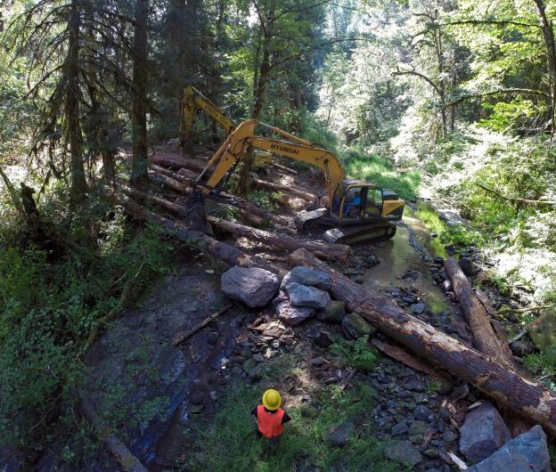 Stream restoration and sediment reduction along a stream bank