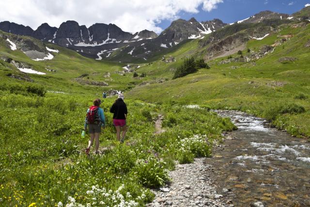 People walking along alpine stream and wildflowers