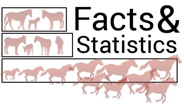 wildhorse_datasandstats