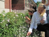 Idaho_NativePlantGarden_RooseveltElementary