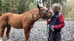 Girl kissing her horse.