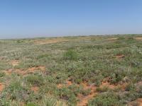 Large grass field beneath a blue sky in an open area with no buildings, no roads, no sign of drilling equipment