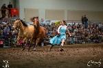 Girl with horses in arena. 