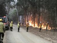 Photo of U.S. firefighters in Australia