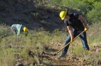 workers use tools to build a trail