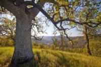 Berryessa National Monument