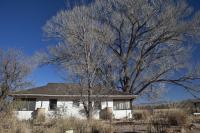 a white house with bare cottonwood trees towering above it