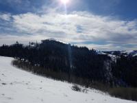 South Hills in Winter