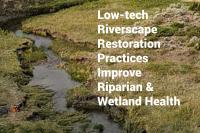 Cottonwood Creek: Low-Tech Riverscape Restoration Practices Improve Riparian-Wetland Health