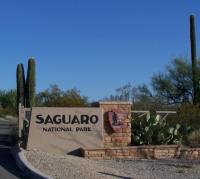 Saguaro National Park