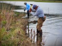 Pounding in willow stakes along the eroded shoreline. 