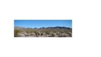 phoho showing Mojave desert landscape in Piute Eldorado ACEC