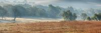 Tallgrass Prairie National Preserve