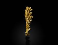 Photo of natural gold