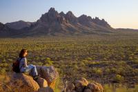 A woman views a desert landscape in the Ironwood National Forest.