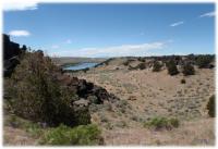 Cedar Fields area 
