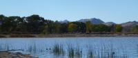 Pahranagat Wildlife Refuge oasis 