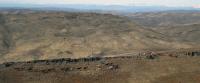 wild horses in Four Mile HMA 