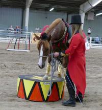 Jodie Bentz and wild horse Roulette showing at the Kansas State Fair and Wild Horse Youth Challenge 2020.