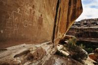 Close-up of Rockface outdoors