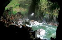 Sea Lion Caves