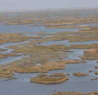 Sabine National Wildlife Refuge