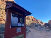 A sign with text an image in front of a canyon, partially in the sun. The Sign reads Grandstaff Trail.