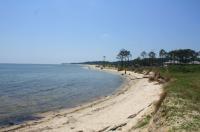 Dauphin Island