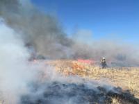 Roswell Prescribed Burn