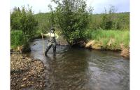 Woman standing in stream