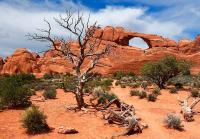 Arches National Park