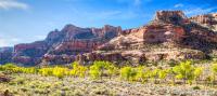 Blue sky with rocky, red mountains behind trees with yellow leaves