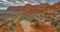Red Cliffs with desert vegetation in the National Conservation Area.