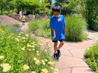 A child walking through a garden with a tool to gather pollen as a part of a pollination learning activity. 