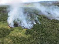 Aerial shot of wildfire burning.