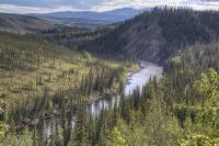 River runs through forested landscape in Alaska