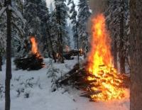 Several piles of woody debris burn with flames reaching up between snow covered spruce trees.