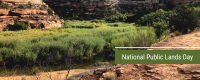 Natural landscape with a creek and bushes for National Public Lands Day. 