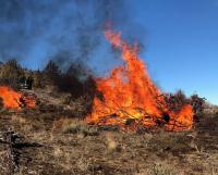 An active pile burn with tall flames and smoke. 