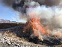 Fire on the side of a road. 
