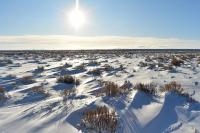 The winter sun shines over sagebrush and drifted snow