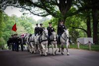 U.S. Army Caisson Platoon horses and soldiers