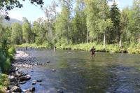 People fishing in a shallow river.