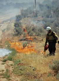 NM RX Burn