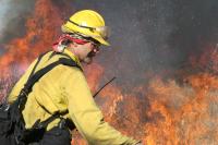 Steve Daly on RX Fire