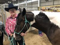 Mustang Mania competitor awaits turn in arena
