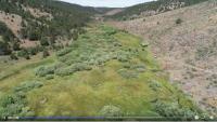 Wetland restored in Oregon high desert video thumbnail