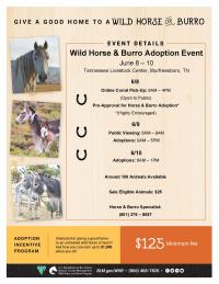 BLM to host Wild Horse and Burro Event in Murfreesboro, Tennessee