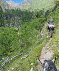 A man on a horse rides on a trail through the mountains. 