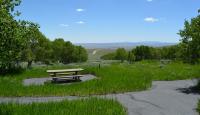 Picnic tables surrounded by grass